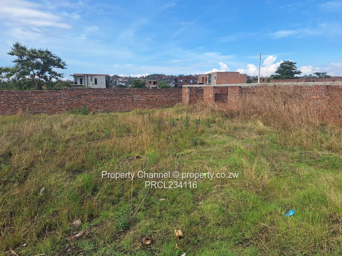 Buy, build and settle!