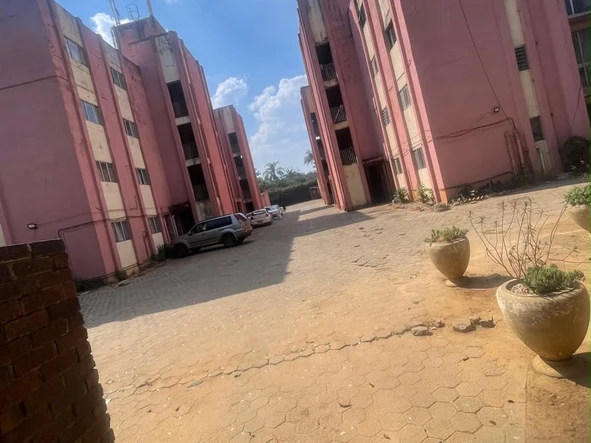 Flat & Apartment