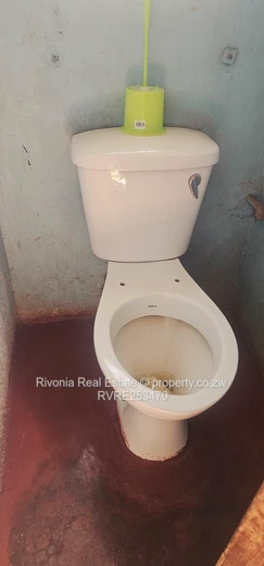 Spacious 4-Bed Home with Borehole in Budiriro