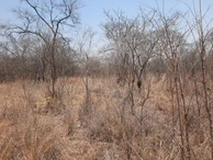 Farm & Agricultural Land