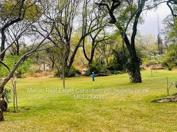 Burnside, Stand FOR SALE