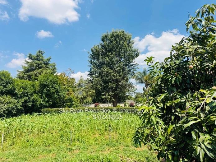 Mount Pleasant Stand For Sale