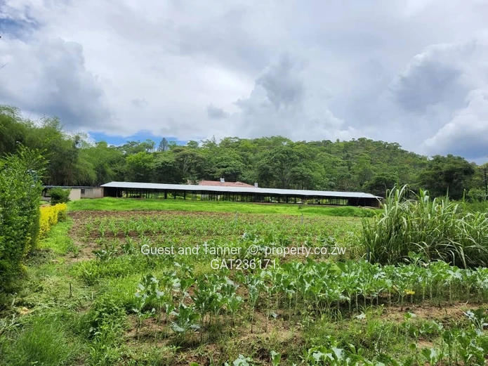 QUICK SALE! Umwinsdale Property for Sale – Prime Location, Exceptional Potential with Deeds