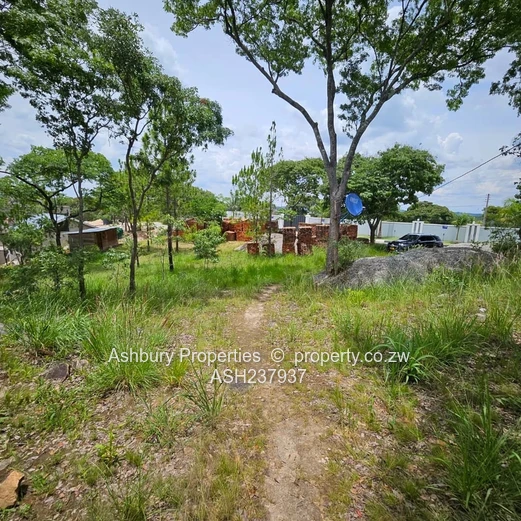A rare to find stand at the Heart of Glen Lorne on Folyjon Crescent.