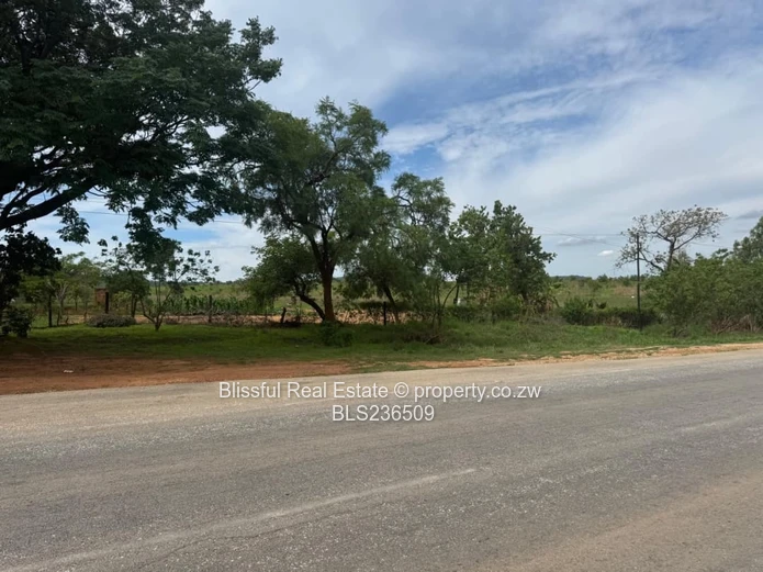 Petrol Station Vacant Stand for Sale-Chinhoyi