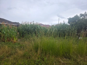 Land