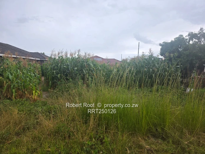 432 m2 vacant land in a built up area for sale in Damofalls