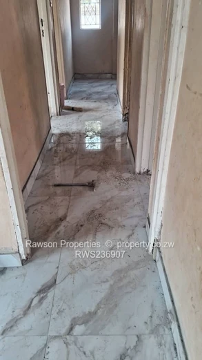 Investment opportunity 