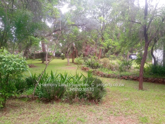 Mt Pleasant- 4 Bedroomed House To Let