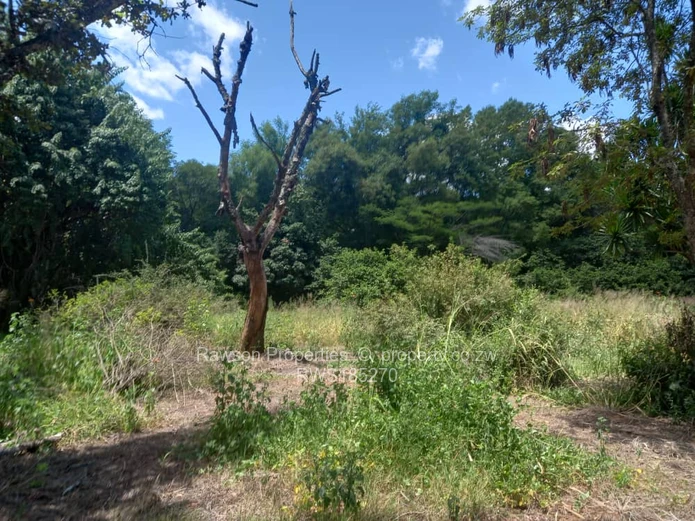 Land for Sale in Hunt, Borrowdale RWS185270