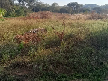 Farm & Agricultural Land