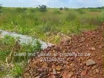 Prime 1318 m2 Serviced Residential Stand for Sale in Haydon Park