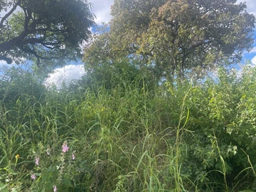 Prime Residential Land in Crowhill Views, Harare North - 900m²