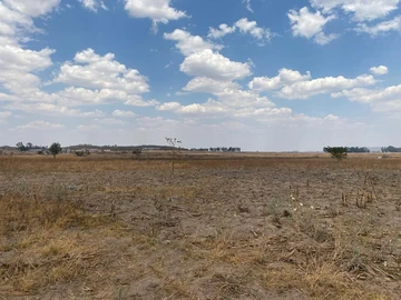 Commercial & Industrial Land