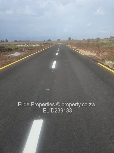 Spitzkop Phase 1 Stand For Sale (Sole Mandate)