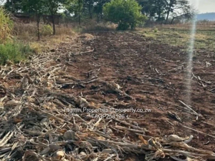 *PRIME RESIDENTIAL STAND FOR SALE IN CHINHOYI - USD 200,000*  ?? *Orange Groove