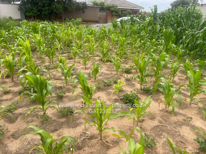 Residential Stand for Sale – Timire Ruwa (300sqm)