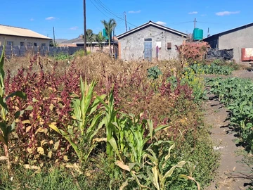 Stands & Residential Land