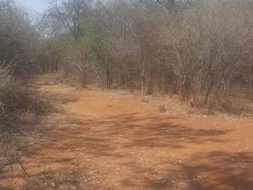 Farm & Agricultural Land