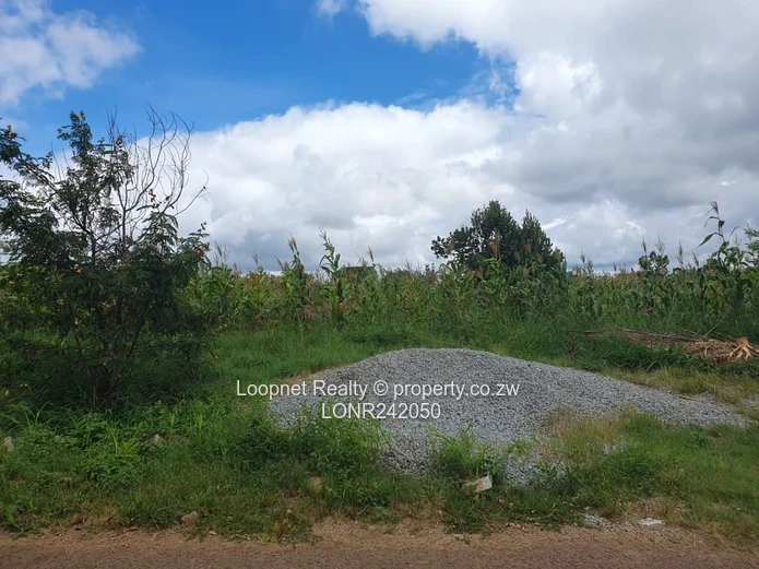 Subdivided Stands For Sale