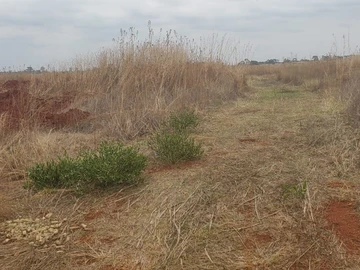 Stands & Residential Land