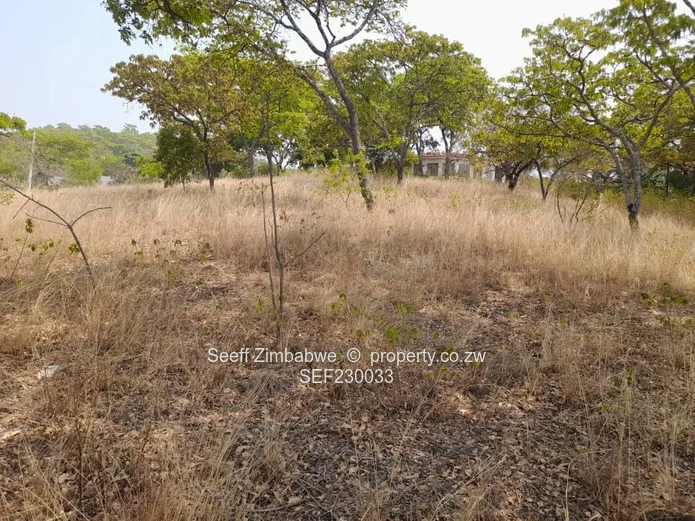 Exclusive Glen Lorne Canvas: Your Dream Home Awaits!