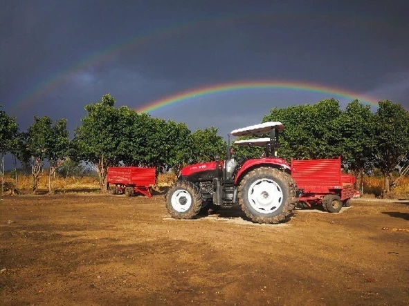 Farm & Agricultural Land