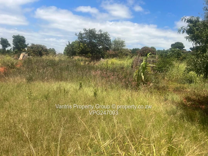 Prime 300sqm - 1710sqm  — Whitecliff Commercial Stands with payment terms 
