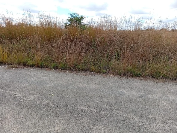 Commercial & Industrial Land