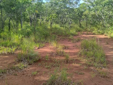 Farm & Agricultural Land