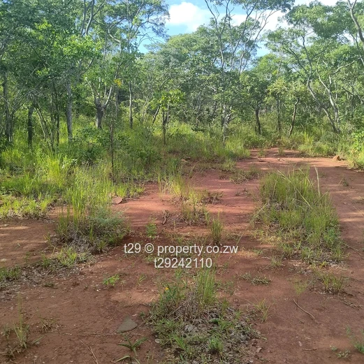 Norton chegutu selous plots for sale