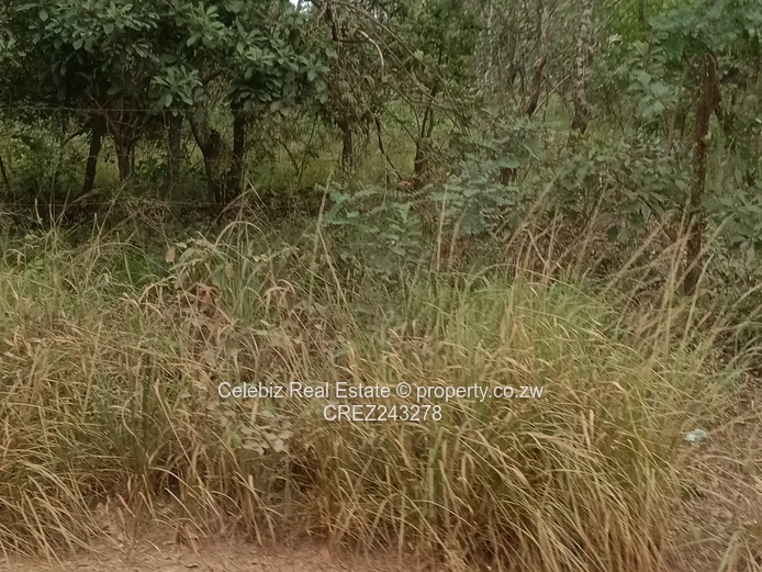 Prime land for sale in Glen Forest 