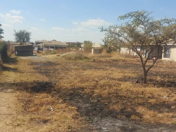 Stands & Residential Land