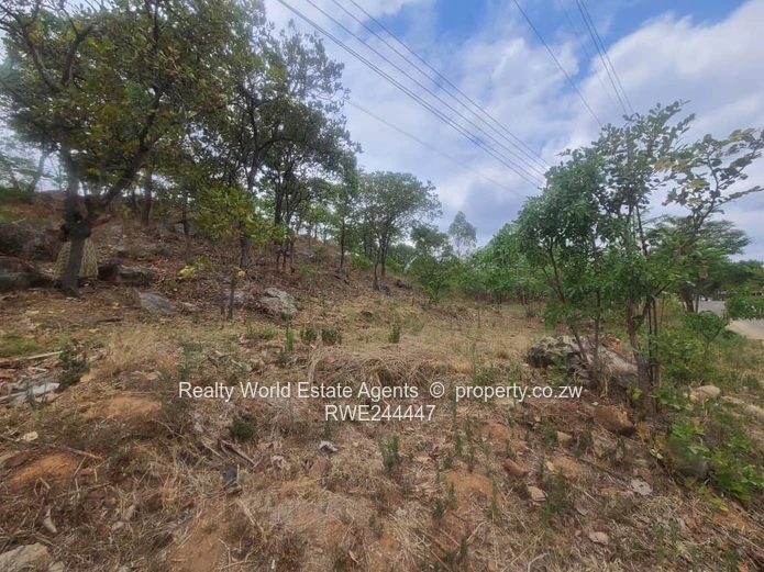 Land for Sale – Glenlorne, Harare (Sole Mandate)