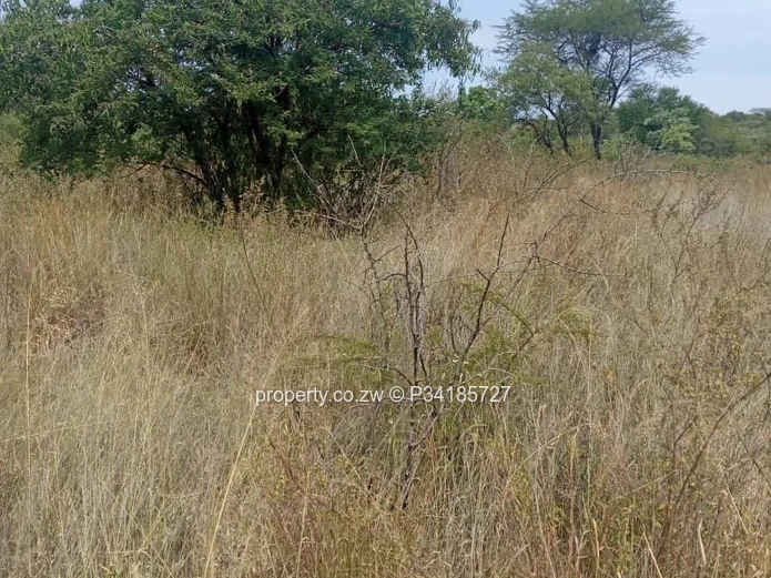 Stands & Residential Land for Sale in Burnside P34185727