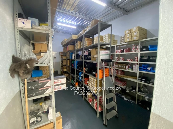 Premium Showroom & Service Centre - Turnkey