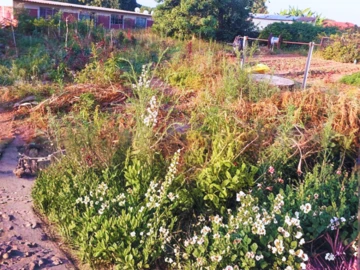 Commercial & Industrial Land