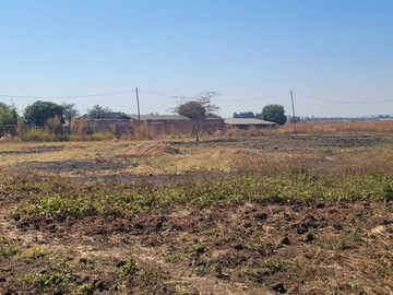 Stands & Residential Land