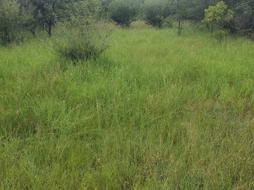 Farm & Agricultural Land