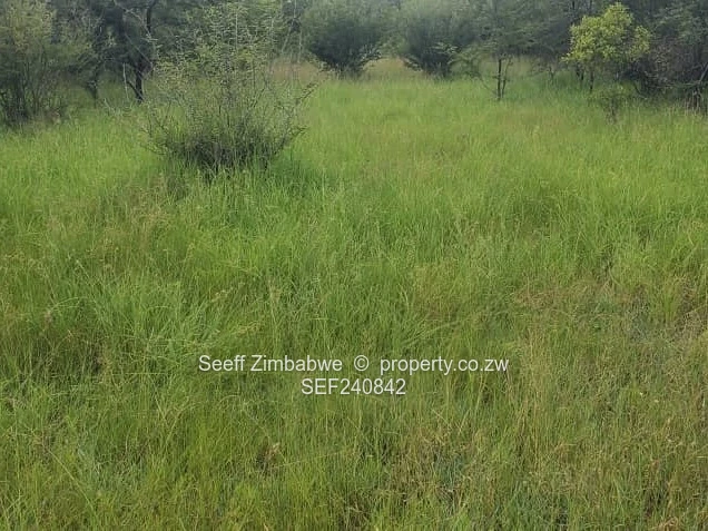 Prime Agricultural Land for Sale in Masvingo 