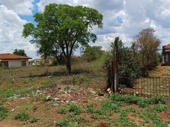 Stands & Residential Land