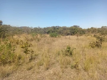 Farm & Agricultural Land