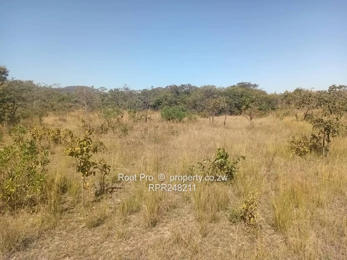 17 Hectares School Land for Sale – Wedza | Investor’s Delight (Sole Mandate)