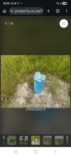 Norton plot for sale