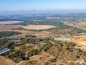 Farm & Agricultural Land