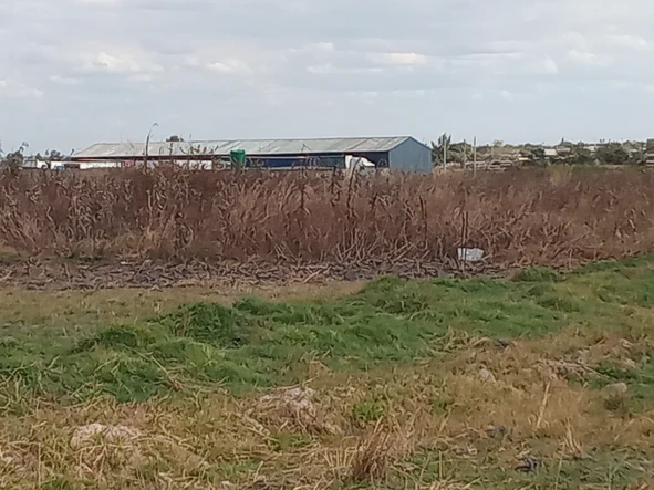 Commercial & Industrial Land