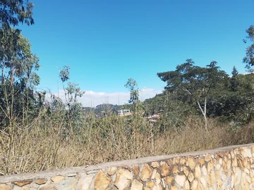 Glenlorne Residential Stands 
