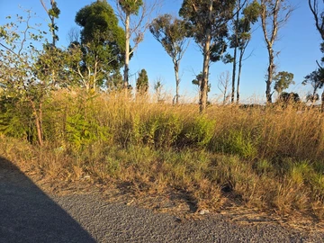 Commercial & Industrial Land