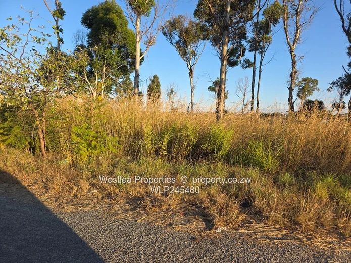 An opportunity not to miss