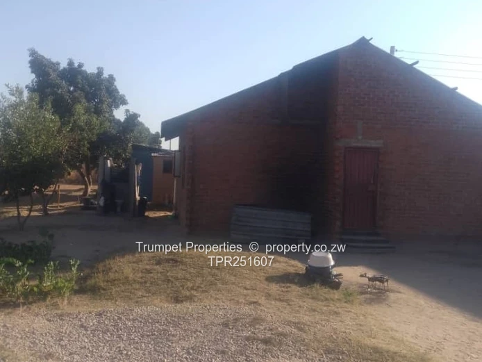 3-Bed Brick Home with Spacious Yard & ZESA in Budiriro